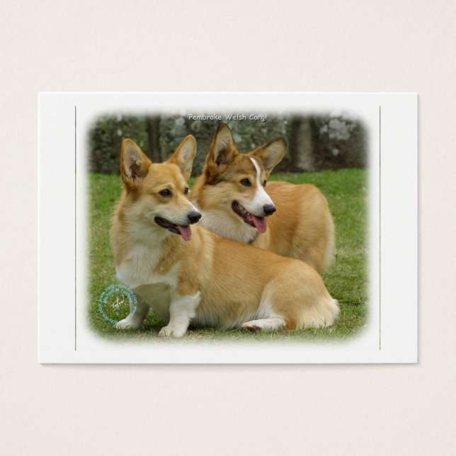 Corgi gallois (Pembroke) (Devant)