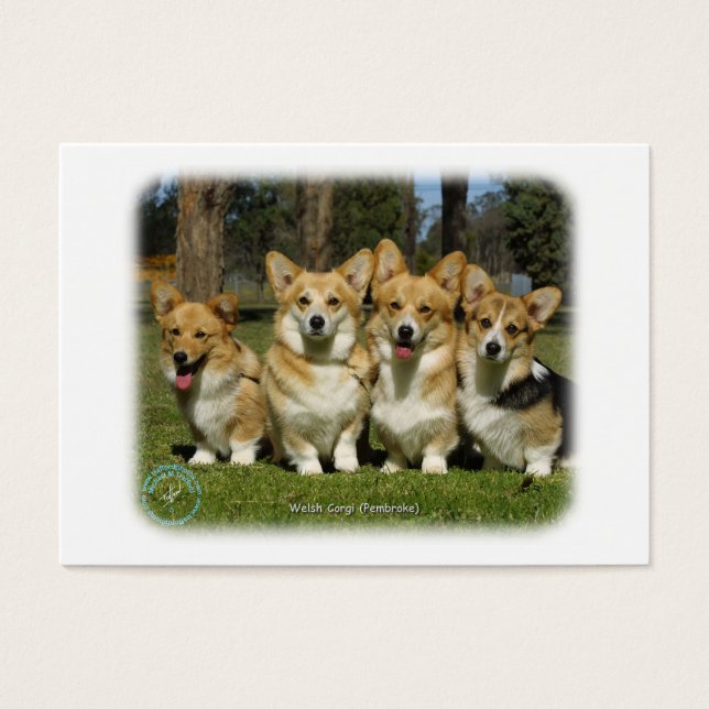 Corgi gallois (Pembroke) (Devant)