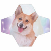 Corgi gallois souriant (Plat)