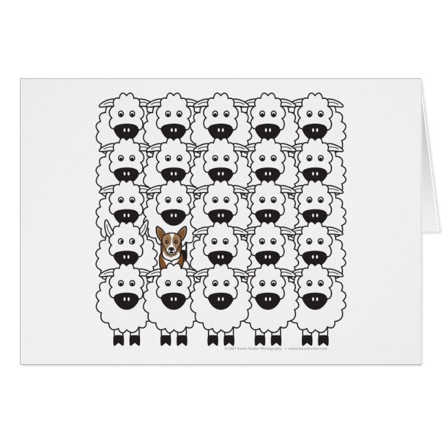 Corgi in de schapen (Voorkant Horizontaal)