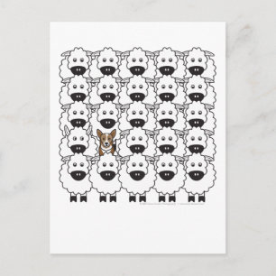 Corgi in de schapen briefkaart