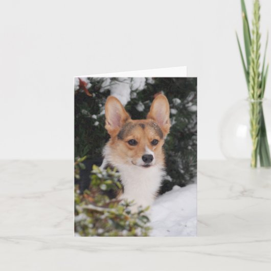 Corgi in de sneeuw kaart (Voorkant)
