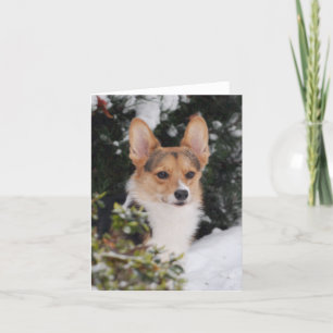 Corgi in de sneeuw kaart