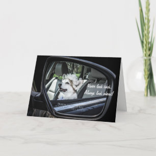 Corgi in Mirror Birthday Card Kaart