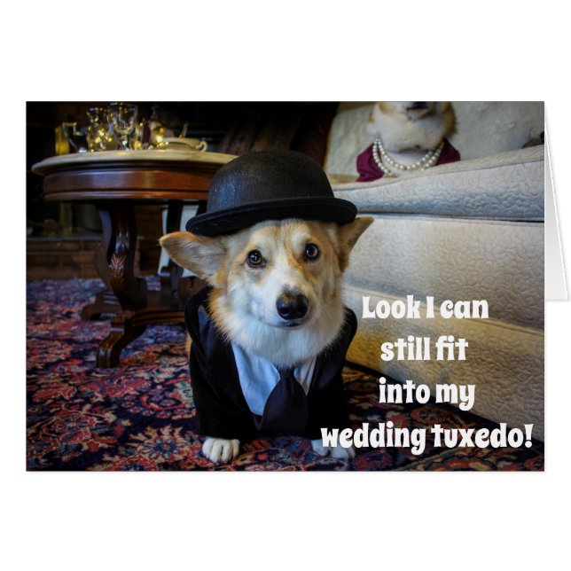 Corgi-Jubileum (Voorkant Horizontaal)