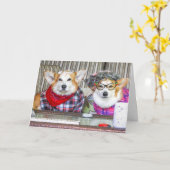 Corgi Jubileum Kaart (Gele Bloem)
