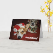 Corgi Kerstkaart Kaart (Gele Bloem)