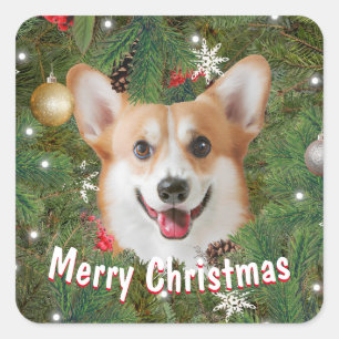Corgi Kerstmis Vierkante Sticker