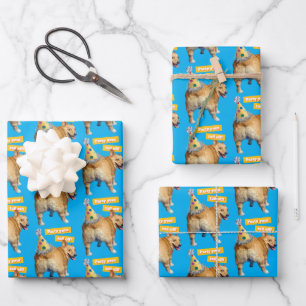 Corgi Kont Verjaardagshoed Inpakpapier Vel