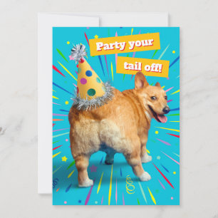 Corgi Kont Verjaardagshoed Kaart