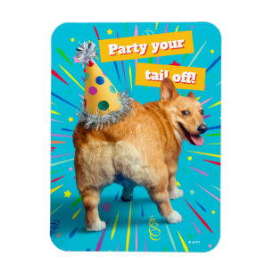 Corgi Kont Verjaardagshoed Magneet