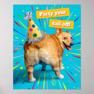 Corgi Kont Verjaardagshoed Poster
