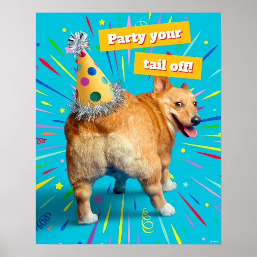 Corgi Kont Verjaardagshoed Poster (Voorkant)