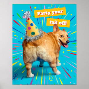 Corgi Kont Verjaardagshoed Poster