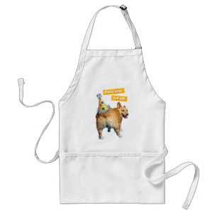 Corgi Kont Verjaardagshoed Standaard Schort