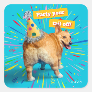 Corgi Kont Verjaardagshoed Vierkante Sticker