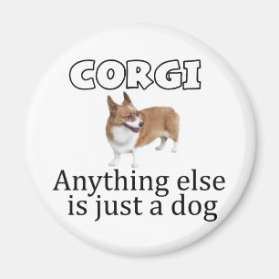 Corgi Magneet