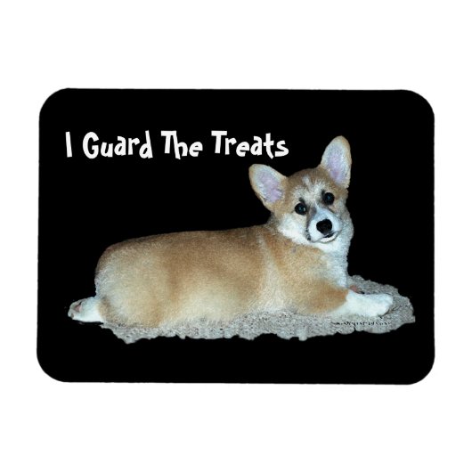 Corgi Magnet (Horizontal)