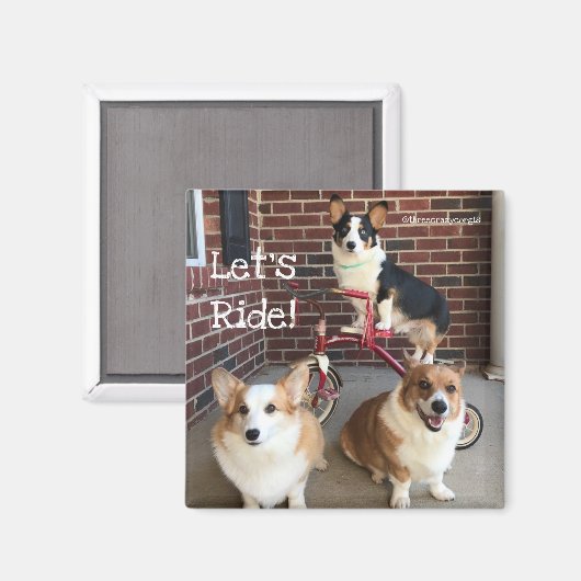 Corgi Magnet (Recto/Verso)
