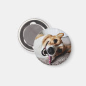 Corgi Magnet Magneet (Voorkant / Achterkant)