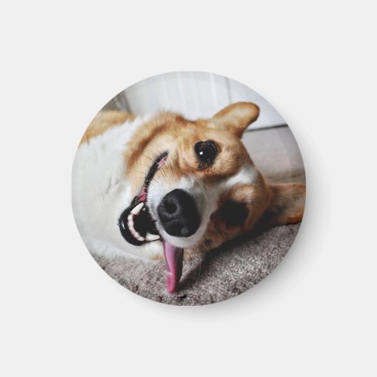Corgi Magnet Magneet (Voorkant)