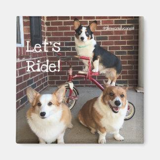 Corgi Magnet Magneet