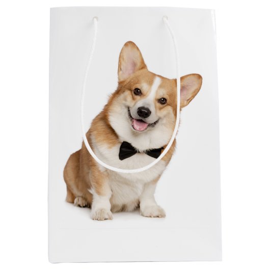Corgi Medium Cadeauzakje (Voorkant)