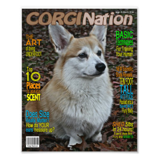 Corgi Nation Magazine ( afdruk) Foto Afdruk