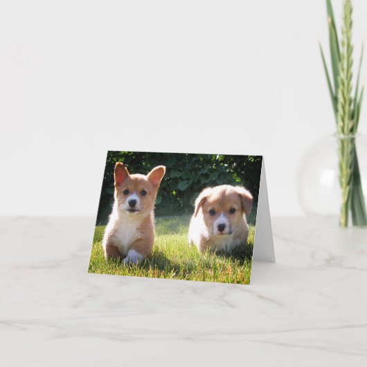 Corgi (Pembroke Welsh) Puppy Dog Note Kaart (Voorkant)