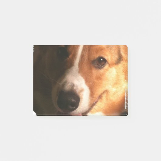 Corgi Post-it® Notes (Voorkant)