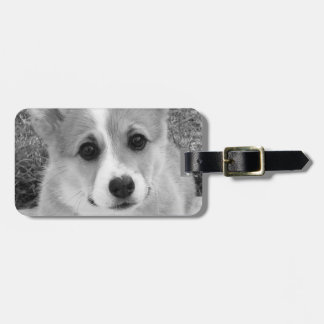 Corgi Puppy Bagagelabel