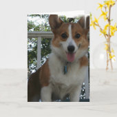 Corgi Puppy Dog Wenskaart Kaart (Gele Bloem)