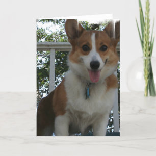 Corgi Puppy Dog Wenskaart Kaart