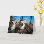 Corgi Robin Hood blanco kaart (Gele Bloem)