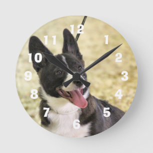 Corgi Ronde Klok