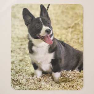 Corgi Sherpa Deken
