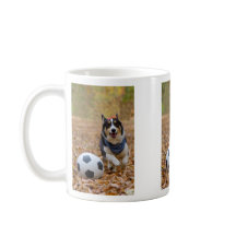 Corgi Spellingvoetbal