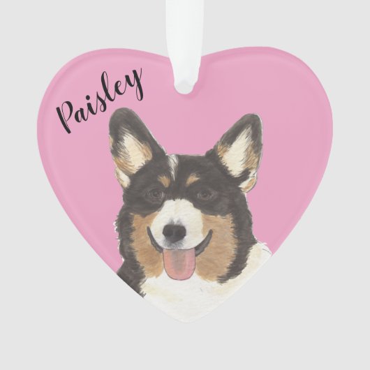 Corgi Tricolor noir rose personnalisé (devant)