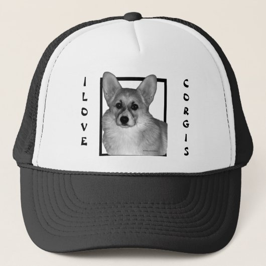 Corgi Trucker had Pet (Voorkant)