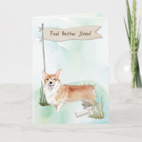 Corgi voelt zich beter na chirurgie met Dog