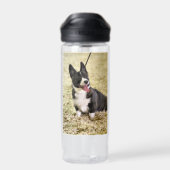 Corgi Waterfles (Achterkant)