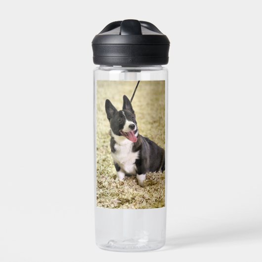 Corgi Waterfles (Voorkant)