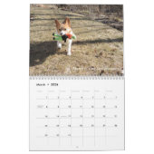 Corgi Wisdom Calendar Kalender (Mar 2026)