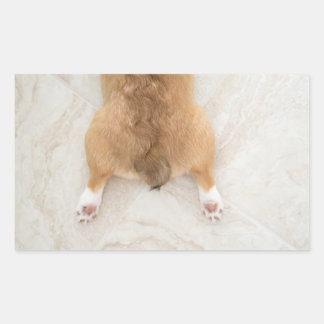 corgibilje rechthoekige sticker