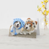 Corgis dans la carte de voeux pliée Casquette (Fleur jaune)