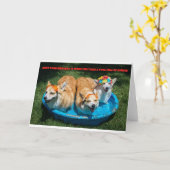 Corgis dans une carte d'anniversaire de piscine (Fleur jaune)