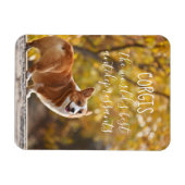 Corgis De beste antidepressiva ter wereld Magneet (Horizontaal)