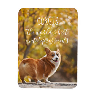 Corgis De beste antidepressiva ter wereld Magneet