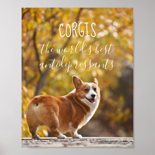 Corgis De beste antidepressiva ter wereld Poster (Voorkant)