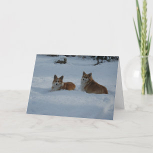 Corgis spelen in de sneeuw feestdagen kaart